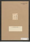 Diatomeae indet. Zeichnungen Sammlung Grunow Nr. 2848 (NHMW-BOT-W0370169)